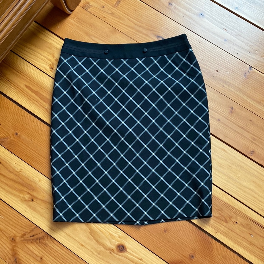 The Limited Skirt